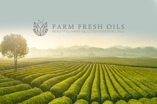 Farm Fresh Oils Australia