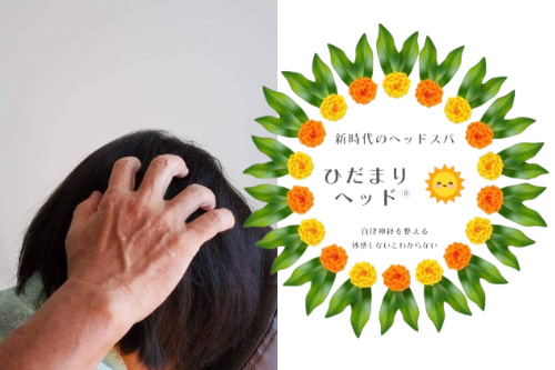 ひだまりシリーズ