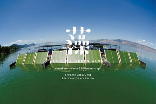 ナチュラルコスモ