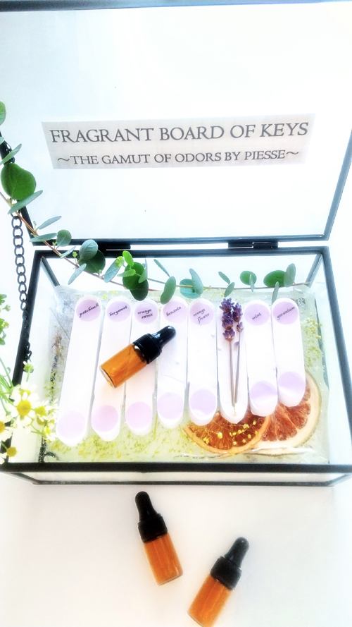 第５回 エントリーNO.8　