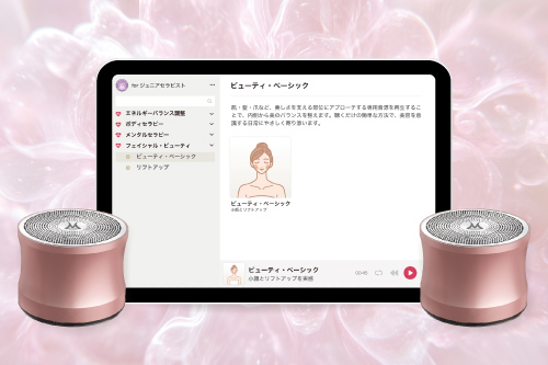 マナサウンドシステム