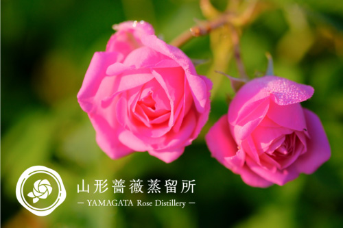 山形薔薇蒸留所